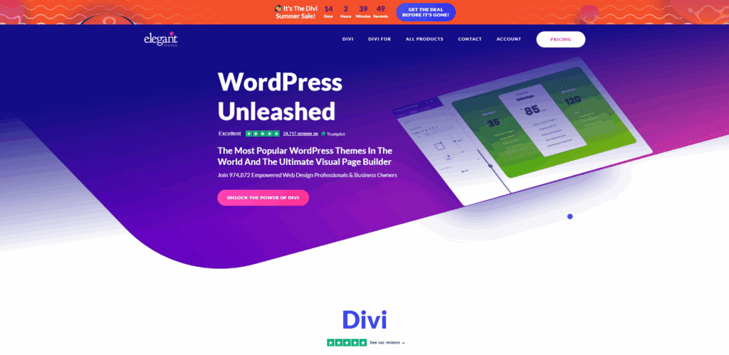 Interface du logiciel Elegant Themes